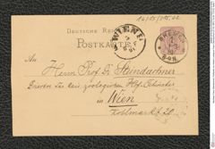 Nachlass Franz Steindachner, Postkarte von Hubert Ludwig an Franz Steindachner (01.03.1881), Inv.Nr. 315.02, Seite 1